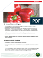 Ficha Tecnica Dossier Fazenda Pimento