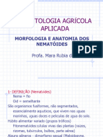 Aula 2 - Morfologia