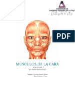 Musculos de La Cara Informe