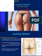 Gluteal Region MBCHB II 2023 Final