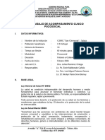 Plan de Trabajo de Acompañamiento Clinico Psicosocial Vichayal