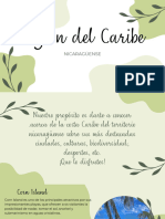 Región Del Caribe