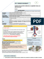 2° - ACT.3 - EDA6 - Conocemos Los Mecanismos de La Excreción.