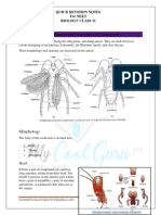 Morphology and Anatomy of Cockroach