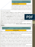 Diapositivas TEMA 3 en PDF