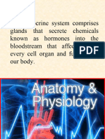 Endocrine System March 5 - 8, 2024