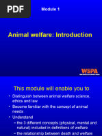 Module 1 Animal Welfare Introduction