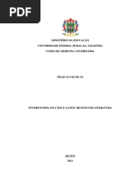 Enterotomia em Cães e Gatos - Revisão de Literatura