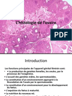 Histologie de L'ovaire