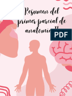 Repaso de Anatomia Rouviere