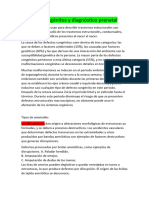 Defectos Congénitos y Diagnóstico Prenatal