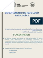 Patologia de La Gestacion