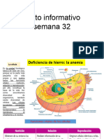 Texto Informativo Semana 327