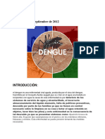 Dengue (Imagenes)