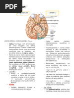 Vias Opticas em PDF