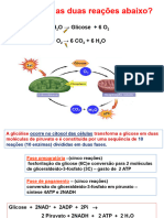 Aula 4 Fermentacao e Ciclo Acido Citrico