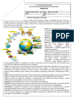 Trabalho 1º Bimestre 1º Ano EJA Níveis de Organização Dos Seres Vivos.