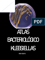 Atlas Sobre Klebsiella-Mesa1-Equipo2.