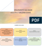 Desenvolvimento Na Idade Adulta e Terceira Idade Resumo