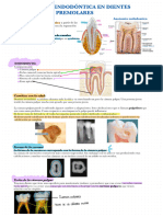 Endodoncia 