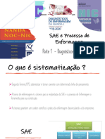 01 SAE, Processo de Enfermagem e NANDA