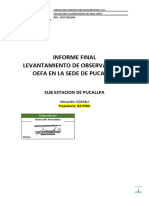 Informe Final Oefa Pucallpa