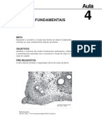 Morfologia - e - Anatomia - Vegetal - Aula - 4 - Tecidos Fundamentais