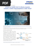 1 CTS Teoria Como Se Infecta Nuestro Cuerpo