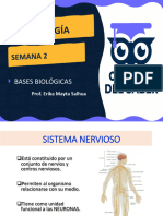 2 Bases Biologicas