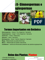 Gimnospermas e Angiospermas IU 20