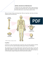 Unit 2-4 Anatomy and Human Physiology Notes