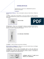 Sistema Articular