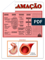 INFLAMAÇÃO