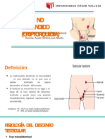 Descenso Testicular UCV.