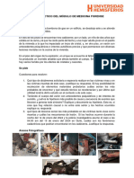 Caso Práctico Del Módulo de Medicina Forense