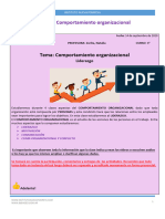 Clase Virtual Inp - Organizaciones 3