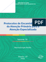 Protocolo Ministerio Da Saude Neurocirurgia Adulto ID