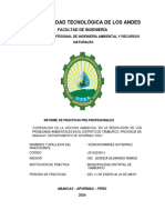 Informe de Practicas