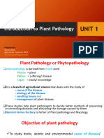 Unit 1 PDF