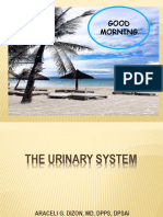 Urinary System - Histology March 2023