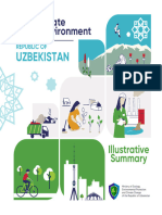 Non-Technical Illustrative Summary of UZB NSoER