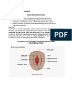 Female Reproductive System