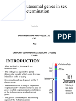 Roles of Auto. Genes in Sex Determination