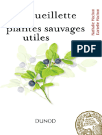 À La Cueillette Des Plantes Sauvages Utiles