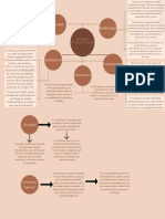 A2 Mapa Mental Conceptos Sociologicos