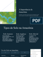 Analise Amazonia