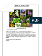 50 Plantas Medicinales