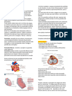 Anatomia 03 02052023