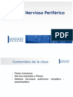 Clase 9 Sistema Nerviosos Segunda Parte - Modo de Compatibilidad