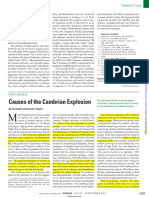 Smith y Harper 2013 Causes of The Cambrian Explosion